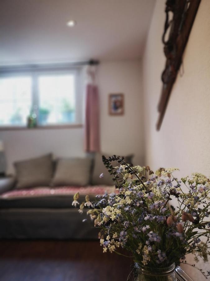 Urchige 2-Zimmerwohnung Matten  외부 사진